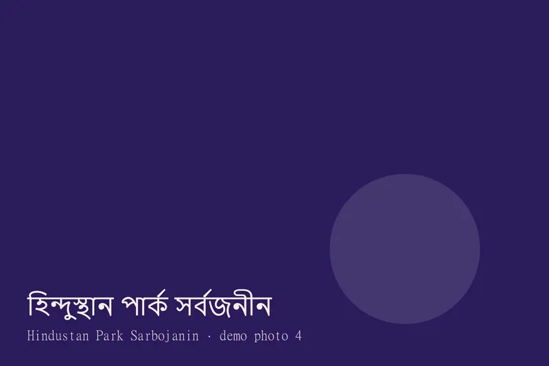 Hindustan Park Sarbojanin — Photos 4