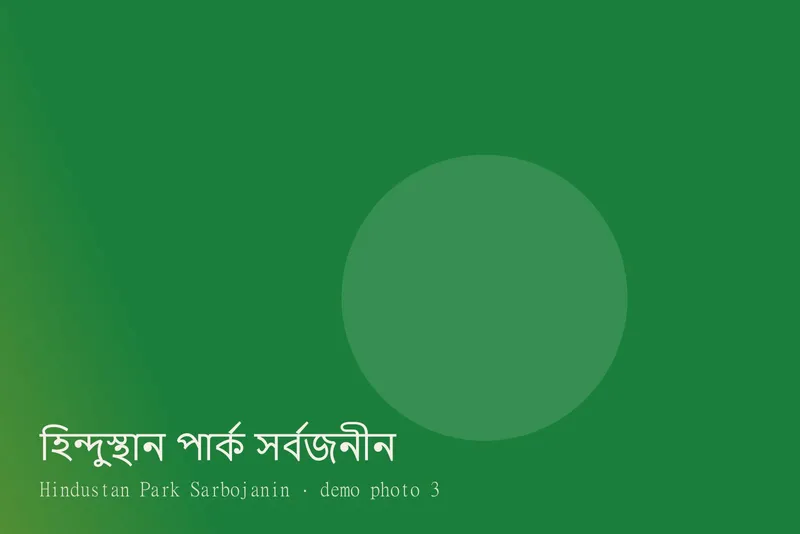 Hindustan Park Sarbojanin — Photos 3