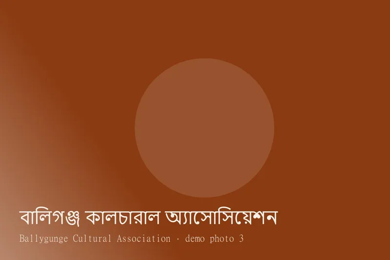 Ballygunge Cultural Association — Photos 3