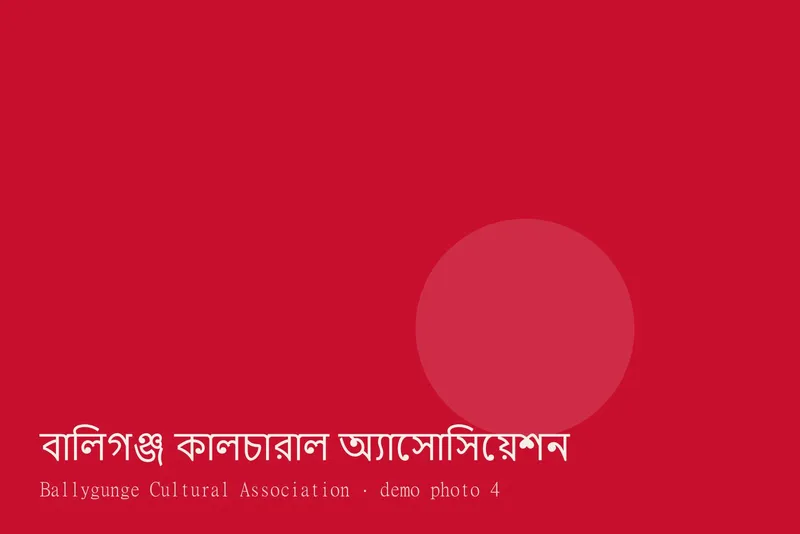 Ballygunge Cultural Association — Photos 4