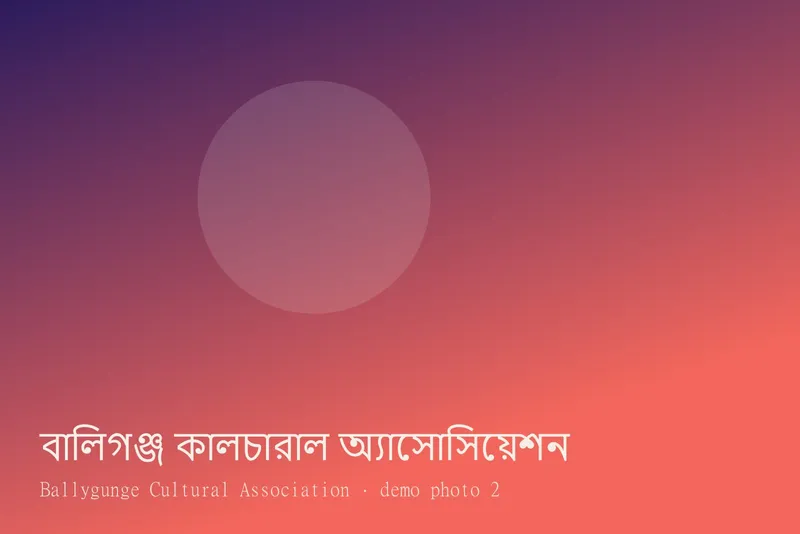 Ballygunge Cultural Association — Photos 2