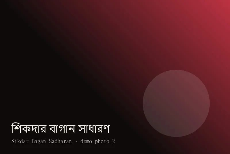Sikdar Bagan Sadharan — Photos 2