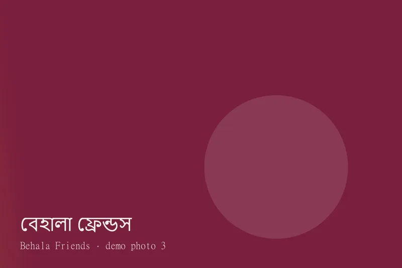 Behala Friends — Photos 3