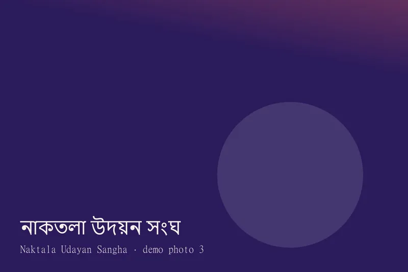 Naktala Udayan Sangha — Photos 3