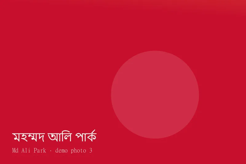 Md Ali Park — ছবি 3