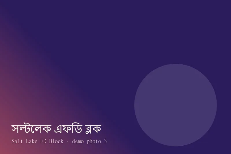 Salt Lake FD Block — ছবি 3