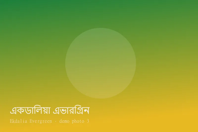 Ekdalia Evergreen — ছবি 3