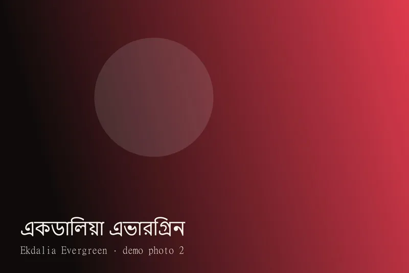 Ekdalia Evergreen — ছবি 2