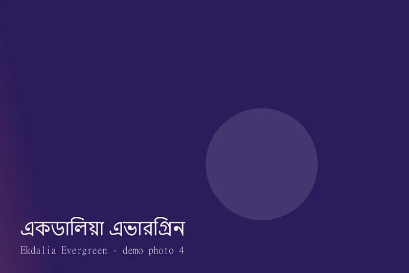 Ekdalia Evergreen — ছবি 4