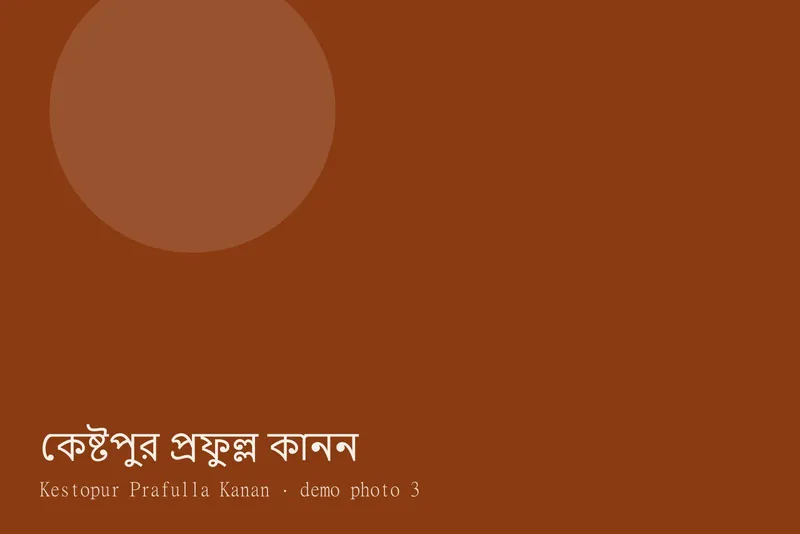 Kestopur Prafulla Kanan — Photos 3