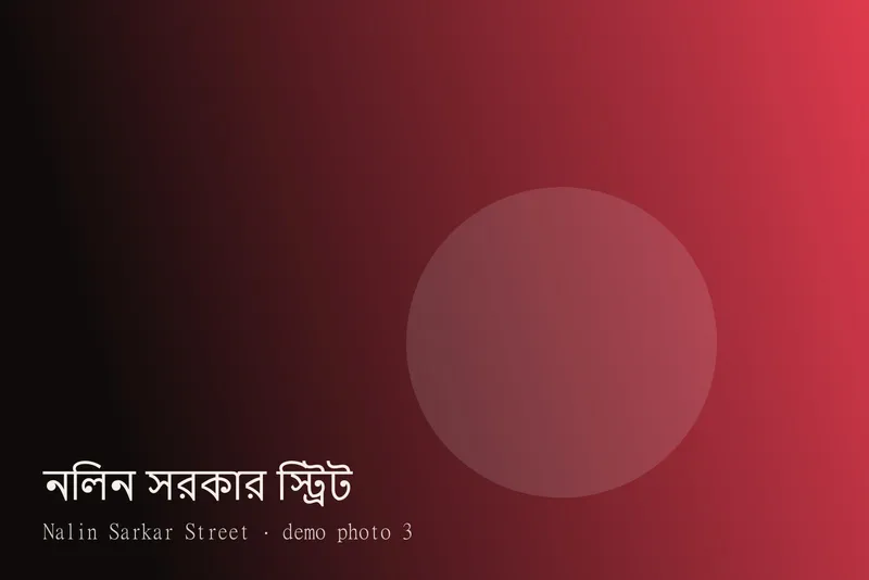 Nalin Sarkar Street — Photos 3