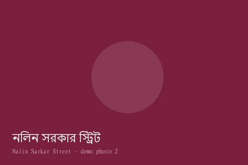 Nalin Sarkar Street — Photos 2