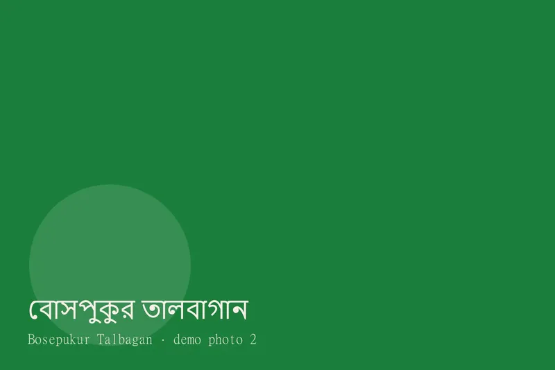 Bosepukur Talbagan — ছবি 2