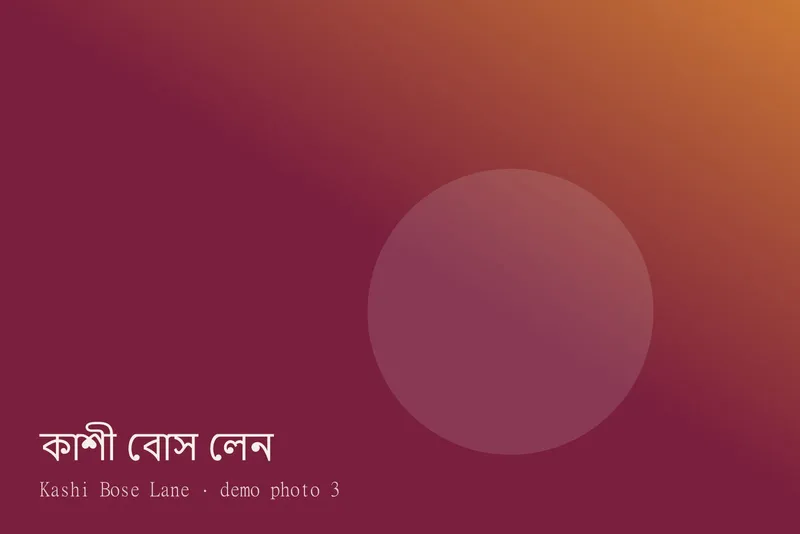 Kashi Bose Lane — Photos 3