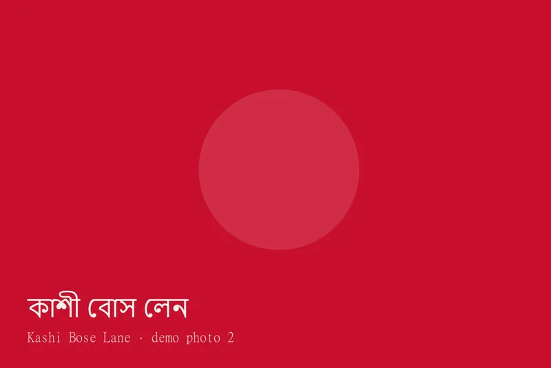Kashi Bose Lane — Photos 2