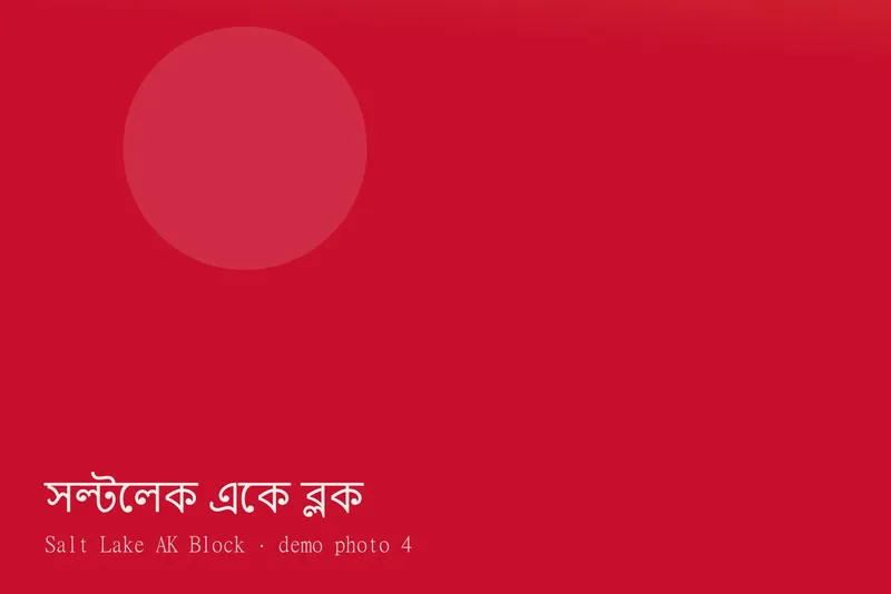 Salt Lake AK Block — ছবি 4