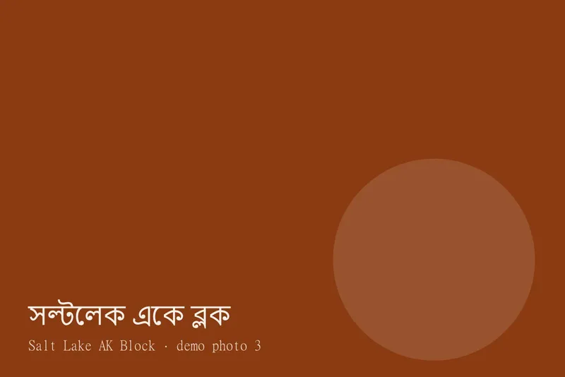 Salt Lake AK Block — ছবি 3