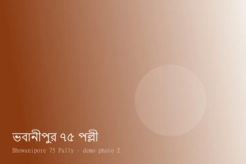 Bhowanipore 75 Pally — ছবি 2
