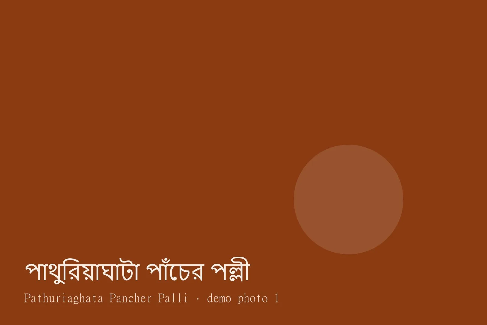 Pathuriaghata Pancher Palli — ছবি 1