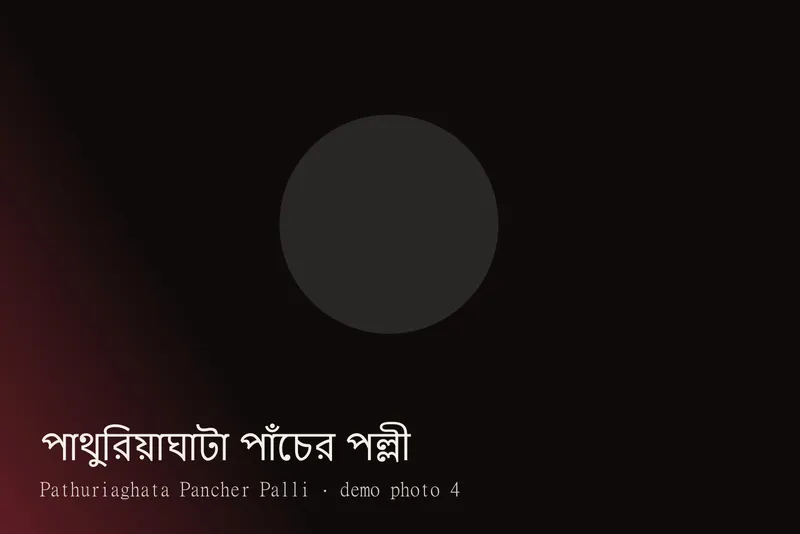 Pathuriaghata Pancher Palli — ছবি 4