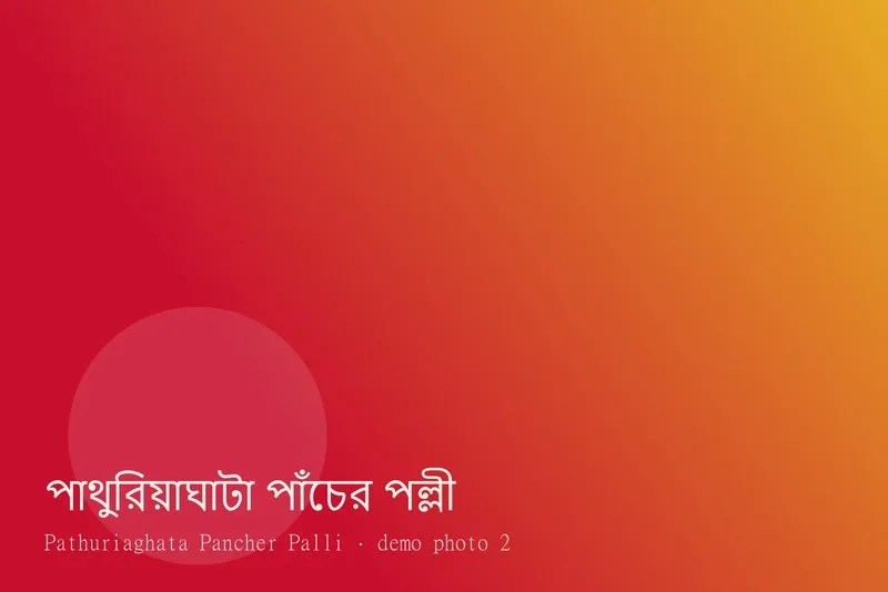 Pathuriaghata Pancher Palli — ছবি 2