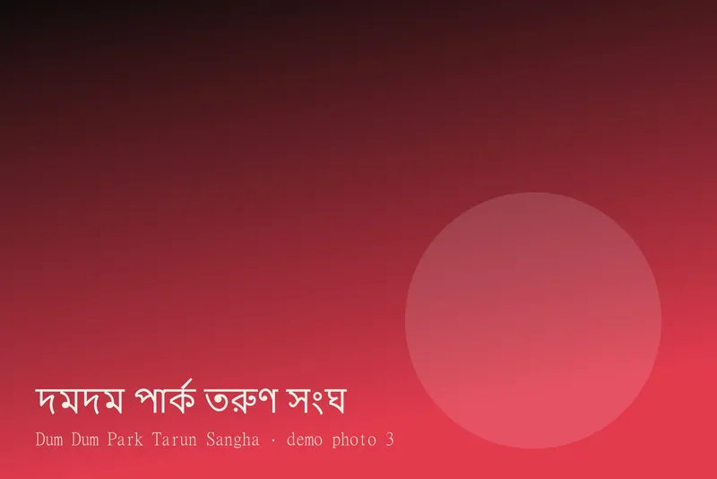 Dum Dum Park Tarun Sangha — Photos 3