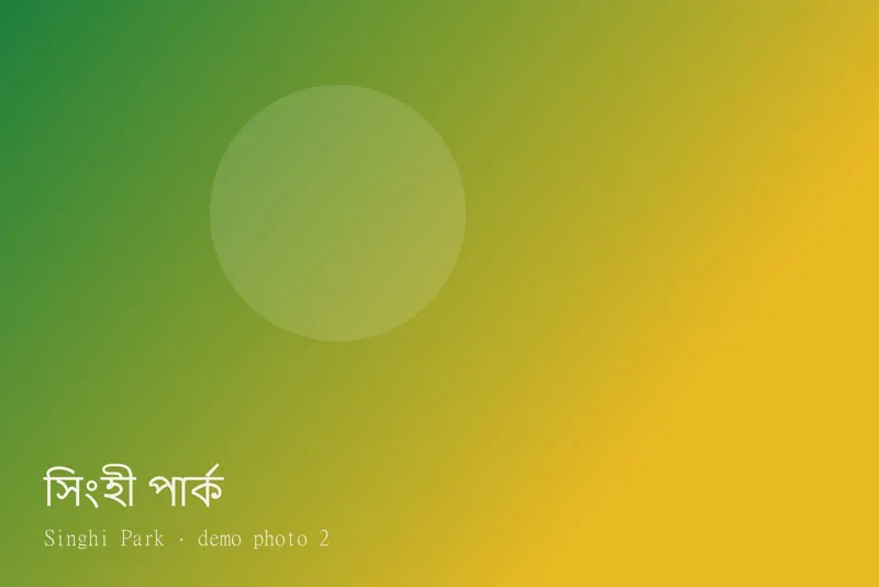 Singhi Park — Photos 2
