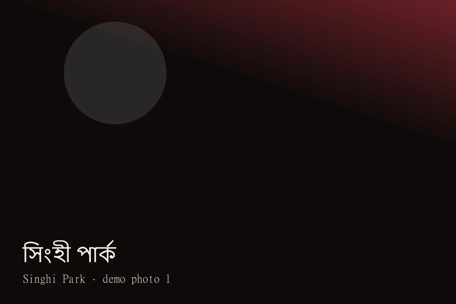 Singhi Park — Photos 1