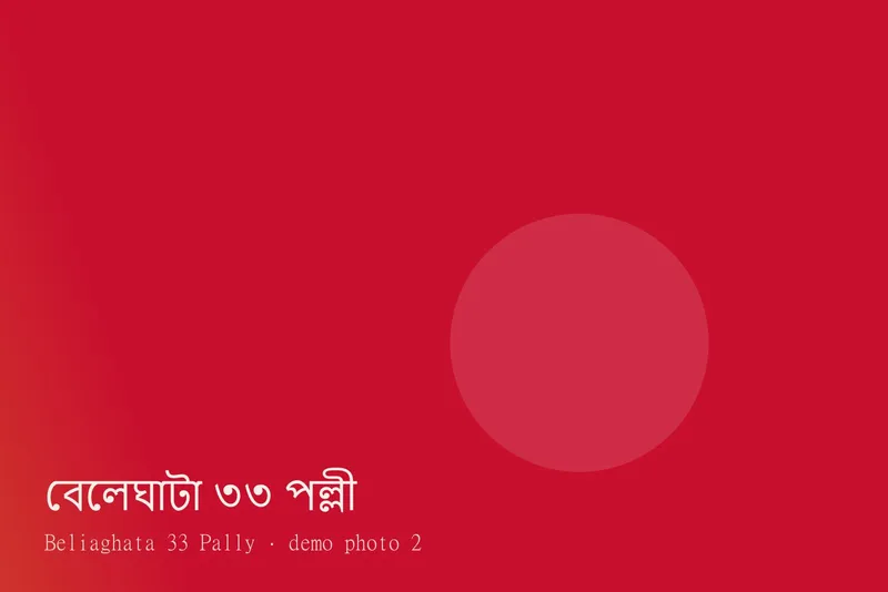 Beliaghata 33 Pally — ছবি 2
