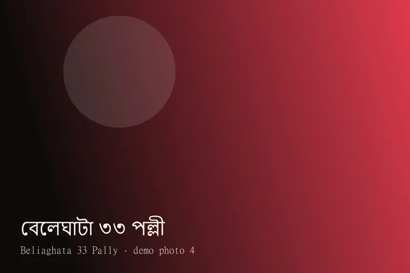 Beliaghata 33 Pally — ছবি 4