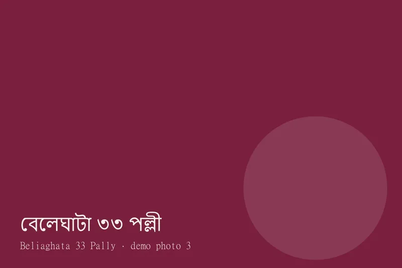 Beliaghata 33 Pally — ছবি 3