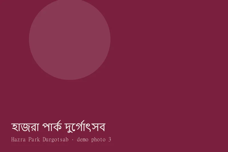 Hazra Park Durgotsab — Photos 3