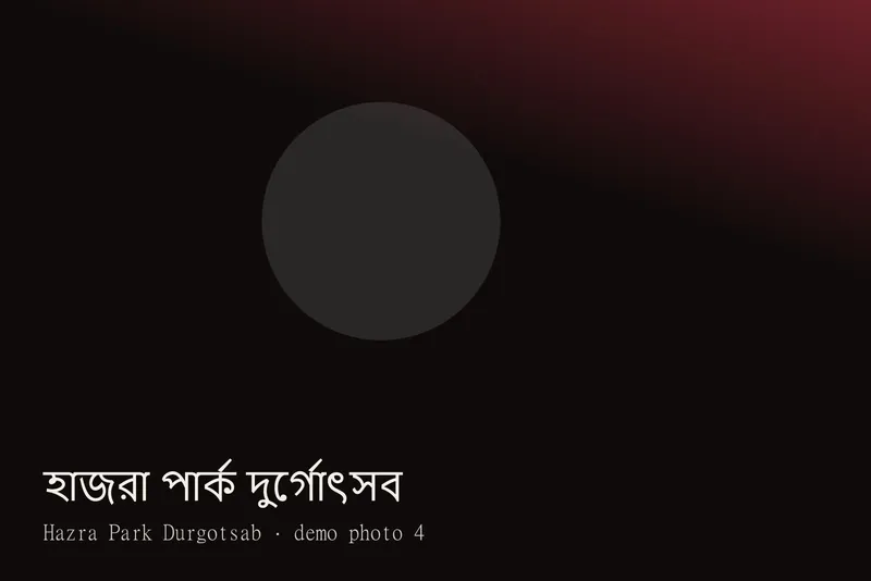 Hazra Park Durgotsab — Photos 4