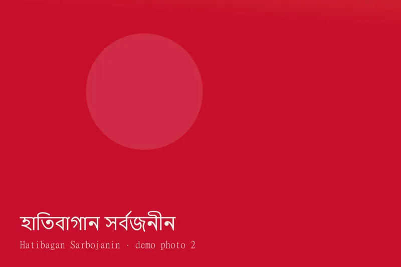 Hatibagan Sarbojanin — Photos 2